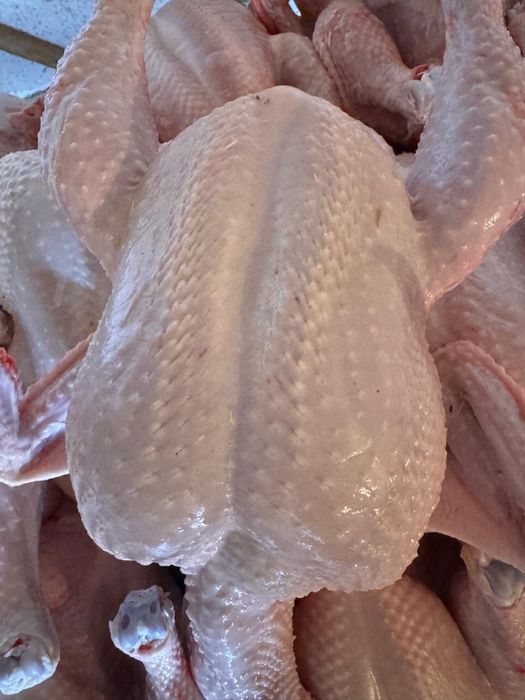 Продам тушки бройлеров домашние