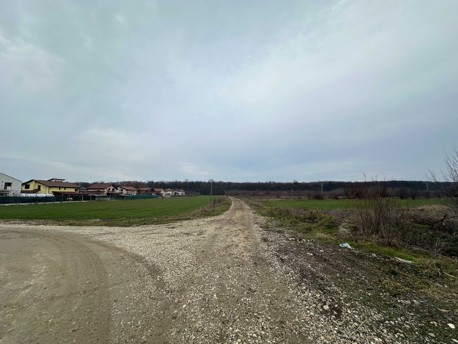 Loturi Teren GULIA Dambovita / 6 Loturi / 545mp