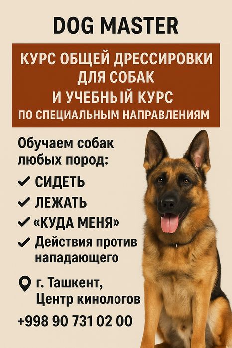 Дрессировка собак и груминг