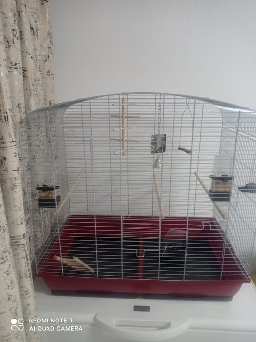 Colivie pasari  neutilizata