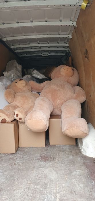 Transport Marfa in Constanta la cele mai mici preturi
