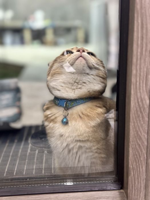 Beshta erkakning yosh qizi bor