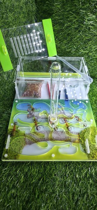 Муравьиная ферма АЛМАТЫ