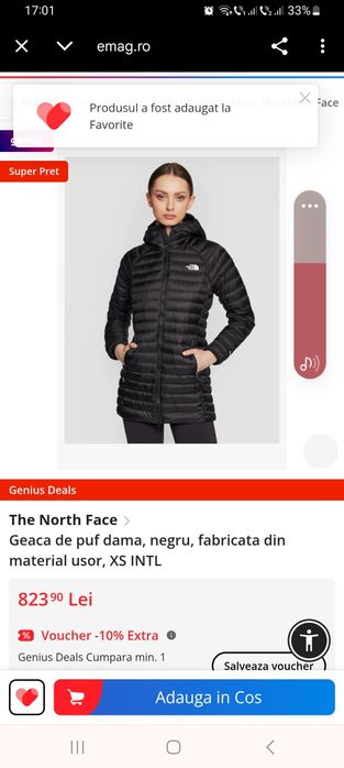 Geaca The North Face