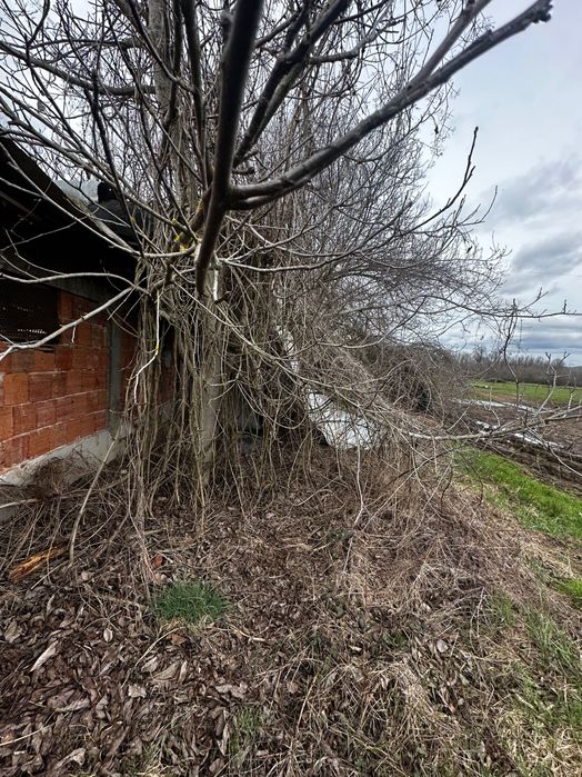 Продава се Къща в Берковица - 140 кв.м за 292 €/кв.м - Снимка #18