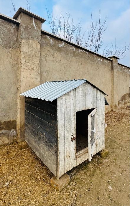 Бутка для собаки