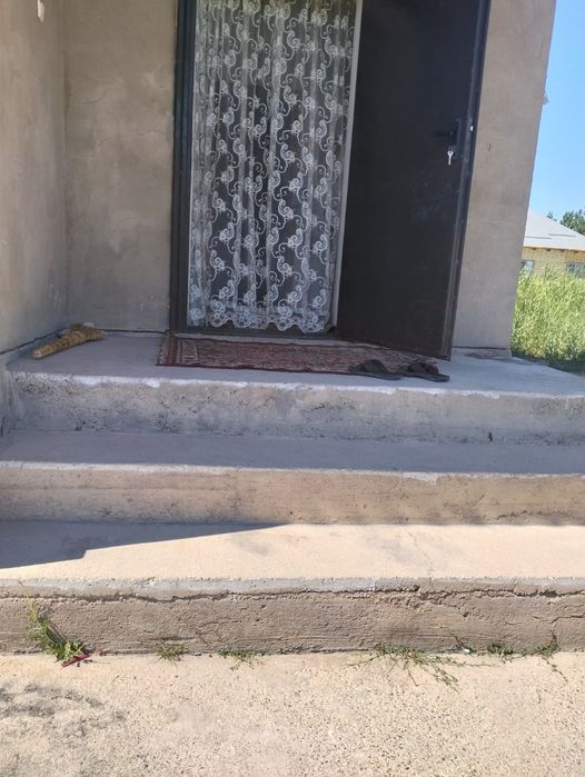 Продается дом в Залиний