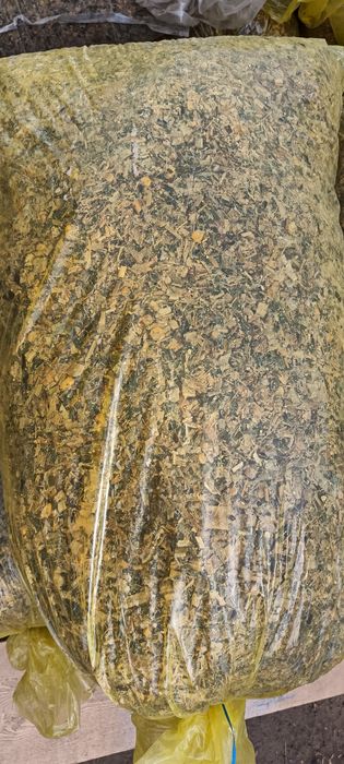 Силос сотилади донли сифати зор