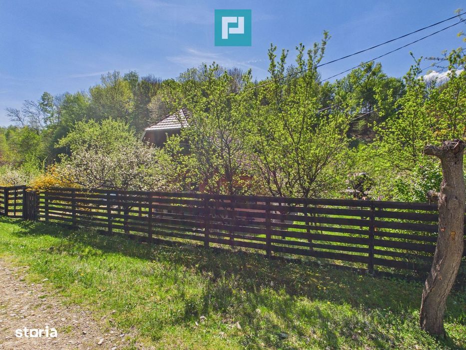 Casă Câmpani, 8000 mp teren, la poalele Apusenilor