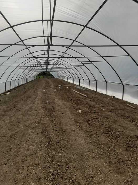 Solariul casei pt legume