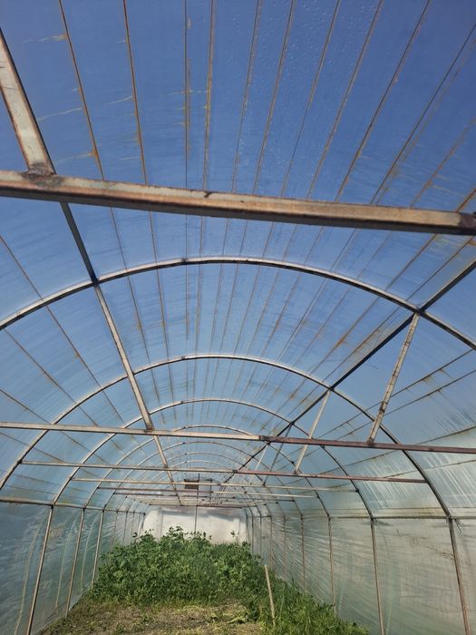 Теплица сотилади иссикхона