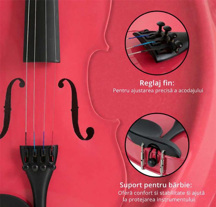 Set Vioara Classic Cantabile VP-100PK 1/2 roz
