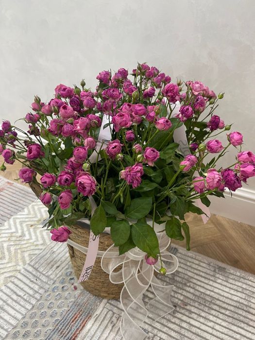 Гулдер букеты цв