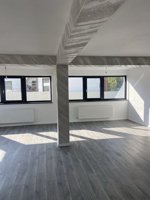 Case de vanzare in Roman