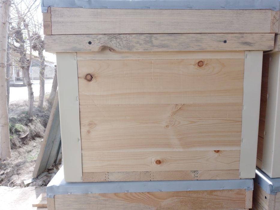 Asalari yawiklari sotiladi 14 16 ramkalik 350 ming va 20 ramkalik  3 l