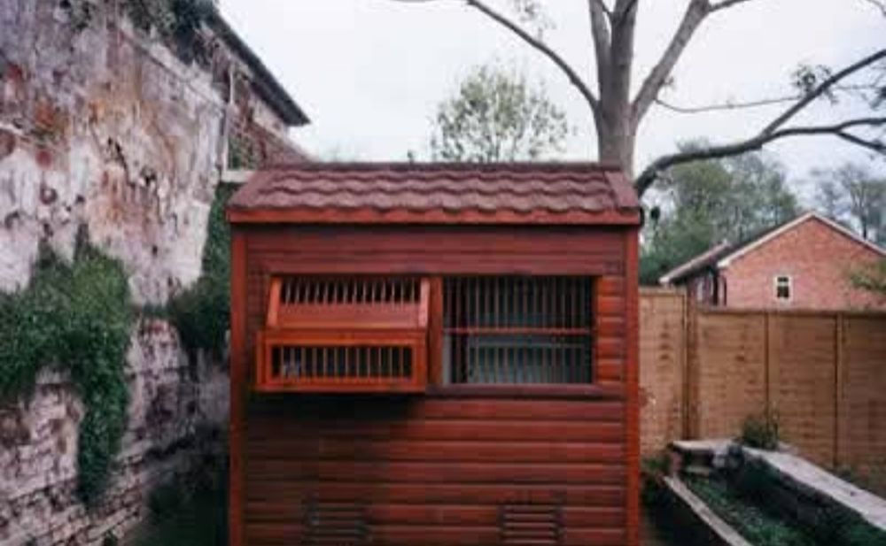 Cuști/Voliere/Coteț porumbei 800 lei