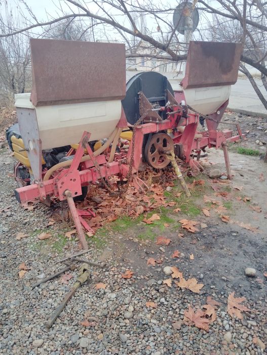 Даичи селка туркиа