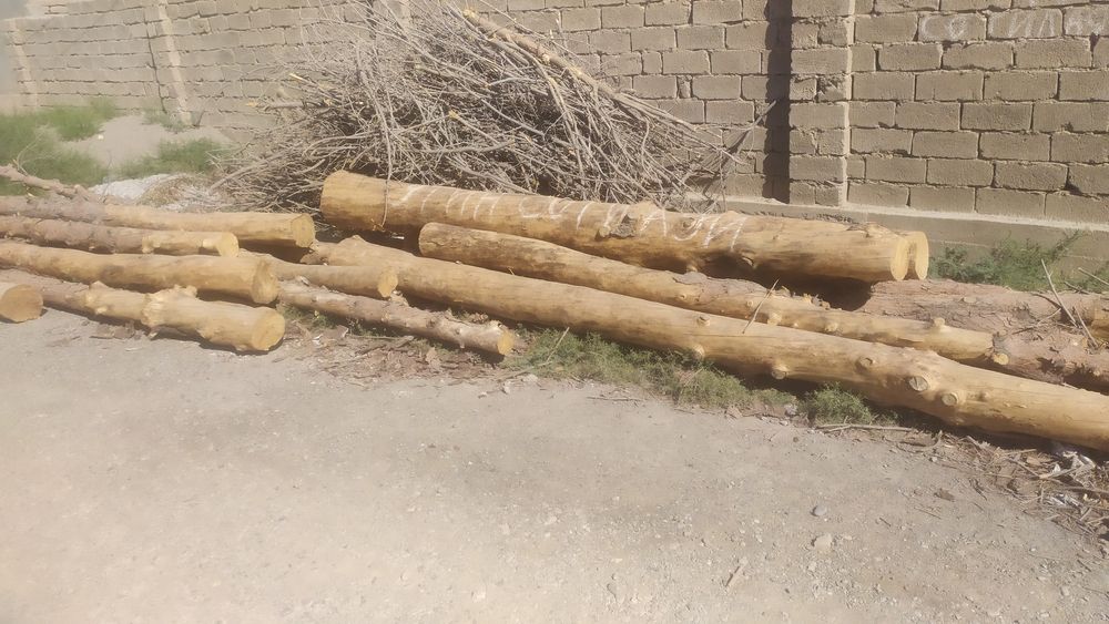 Utin sotiladi Qarshi tuman uzumzor maxallasi