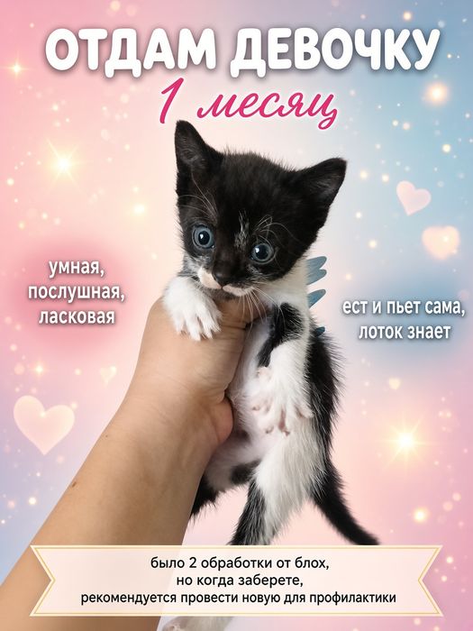 Девочка, 6 недель