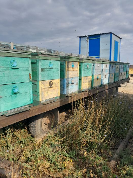 Телега пчеловодная