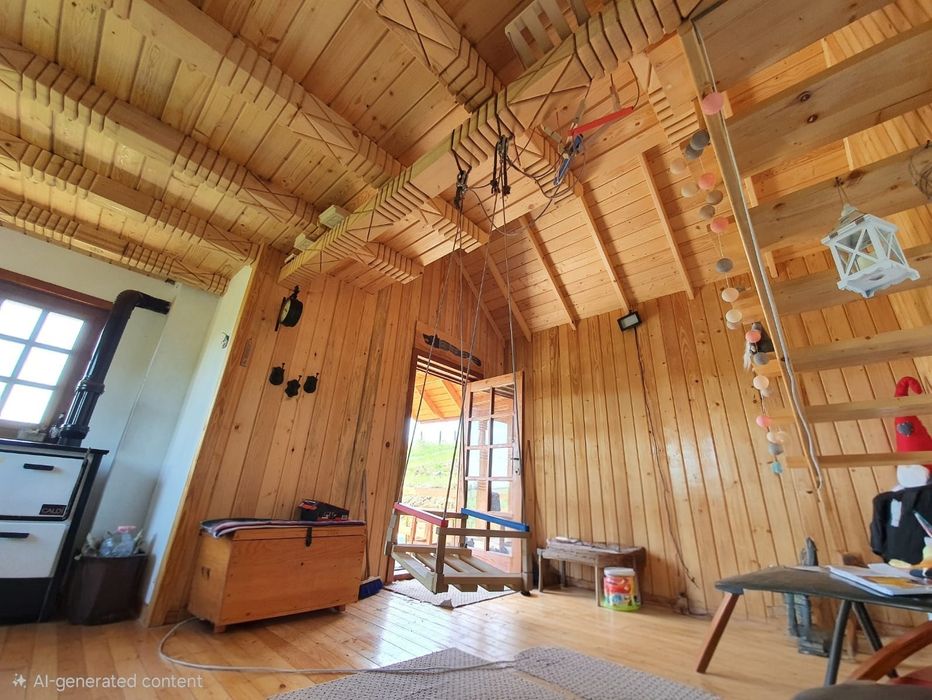 Vânzare teren in Chițoc Vaslui