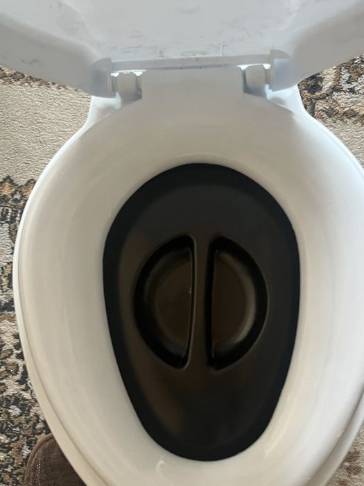 Два био туалета новые