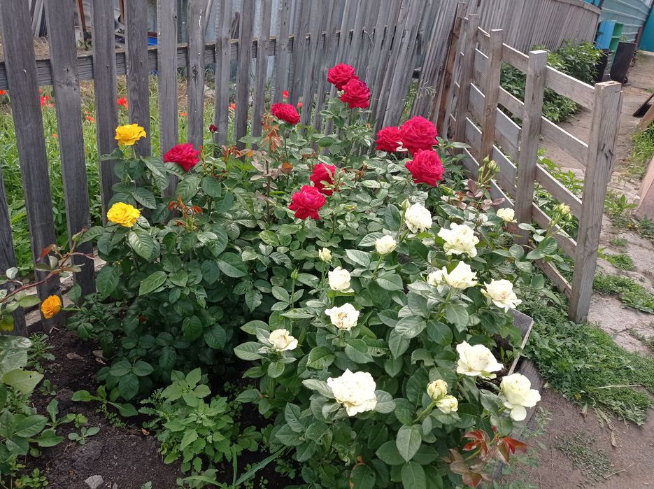 Дом в городе Тобыл