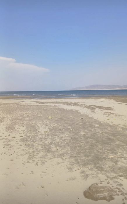 Сдам гостевой домик на Самарке