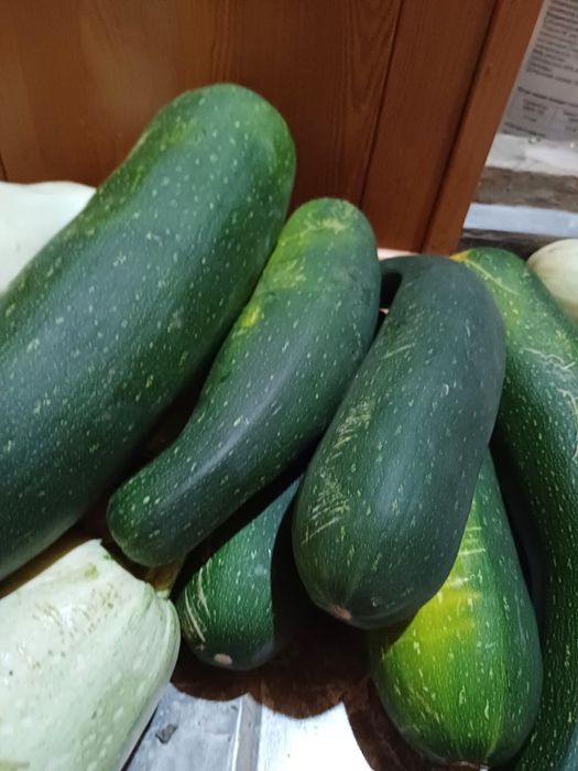 Кабачки свежие,не крупные