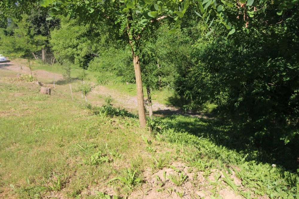 Парцел в с. Драгановци, общ.  Габрово