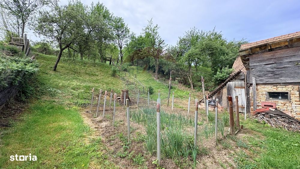 Casă Rustică in Richis, zona buna, grădina cu panorama