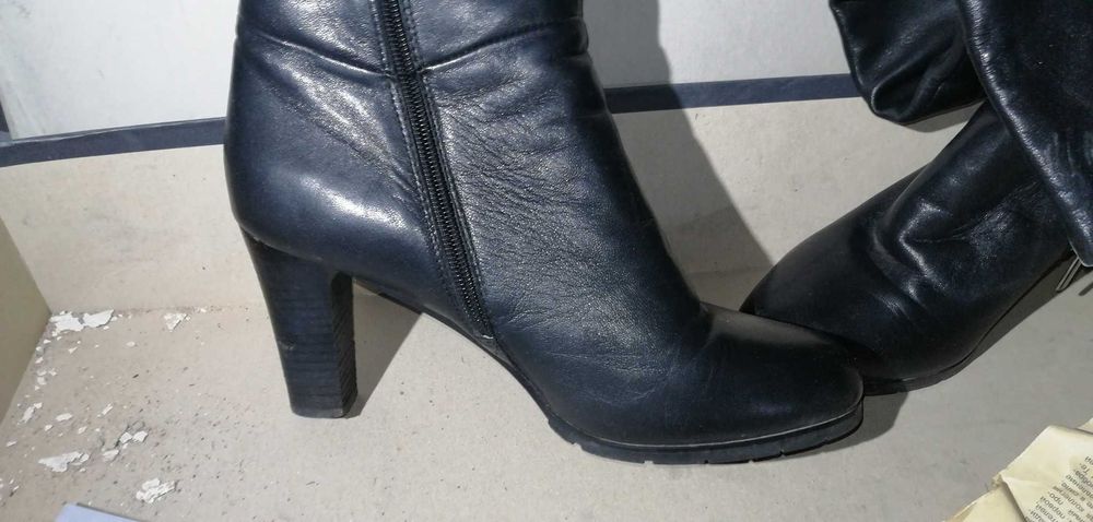 Женские зимние ботфорты от BASCONI