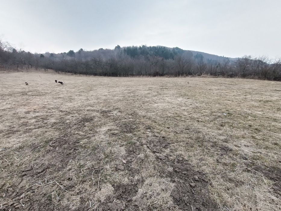 Vând 3 parcele teren intravilan in Popești deal