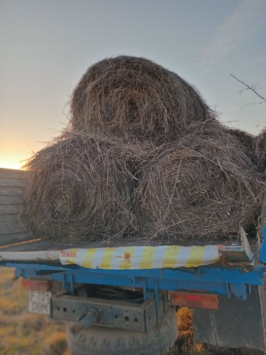 Продам сено, урожай 2025 г