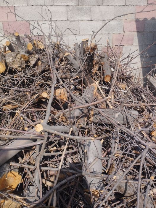 Дрова бесплатно самовывоз