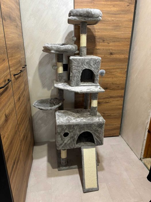 Голяма котешка катерушка 160см