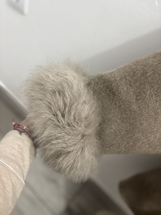 Palton scurt din lana cu blanita