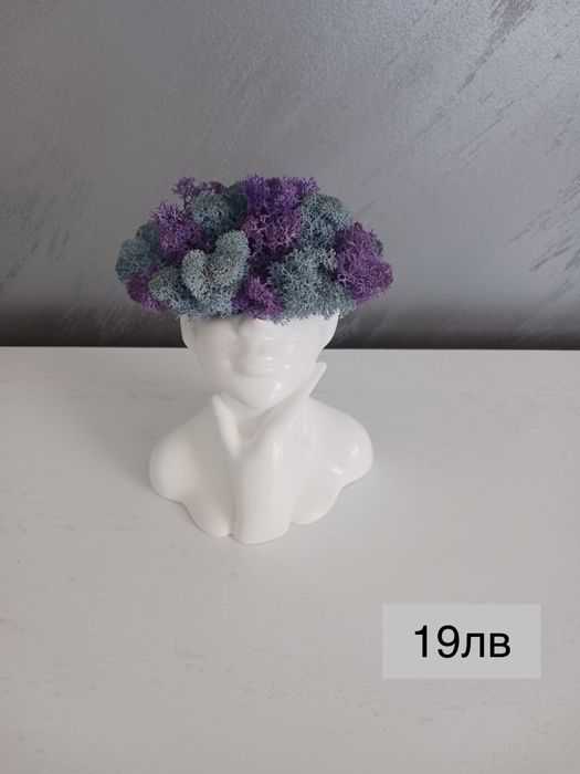 Кашпи със скандинавски мъх – тип „Лице“