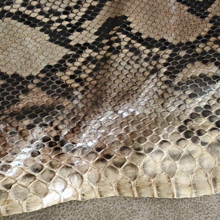 Огромна кожа от питон