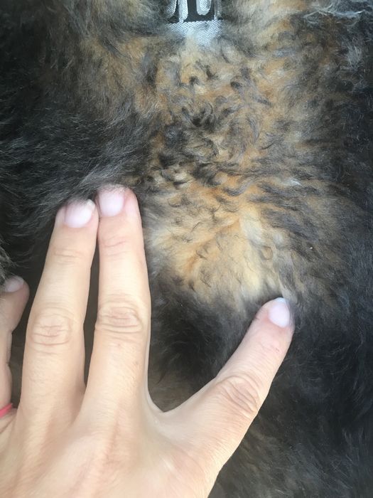 НОВ! Кожух - естествена кожа