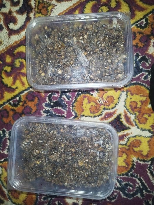 Мёд, прополис, соты, перга, пыльца