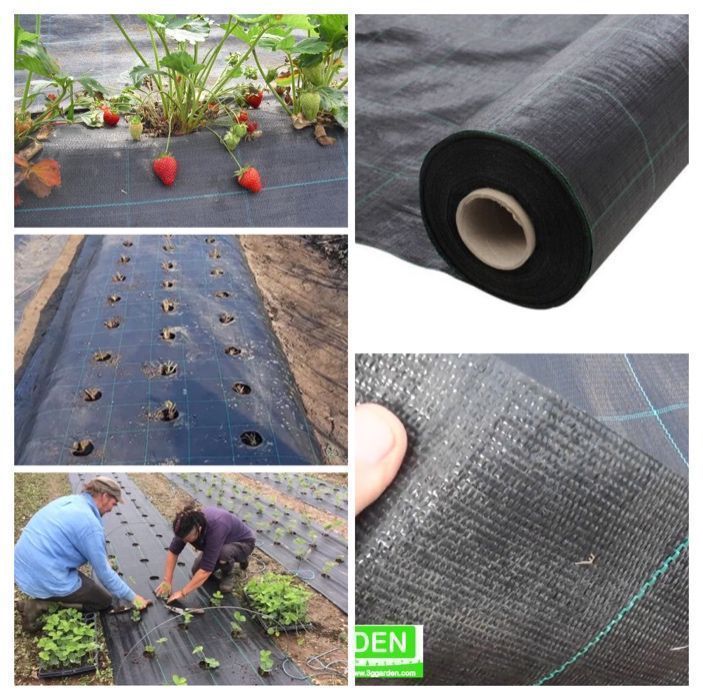 AGROTEXTIL,UV,100gr/mp,5.15x50m=610lei;5.15x100m=1220lei,CALITATIV