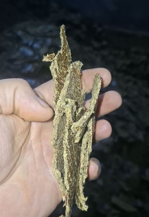 Кунжара ем махсулоти