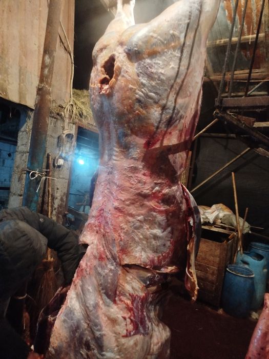 Вынужденый забой