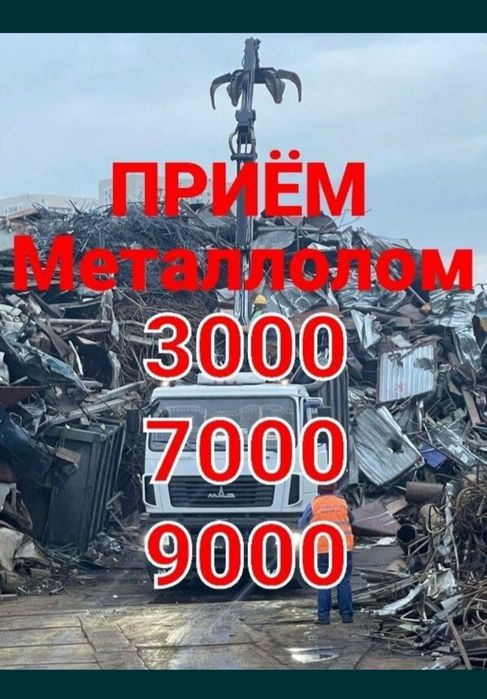 Metallom Metallolom Olamiz