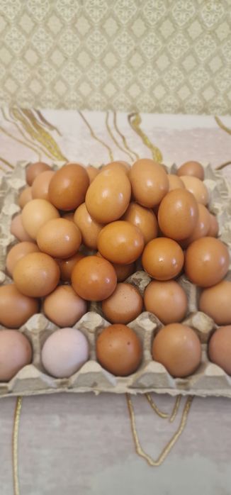Домашние яйца ..