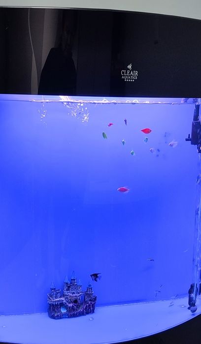 Аквариум с рыбками