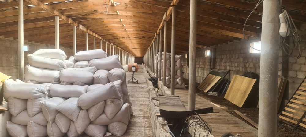 Сено суданская трава