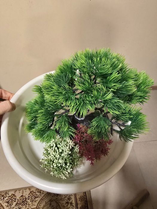 Аквариум с рыбками