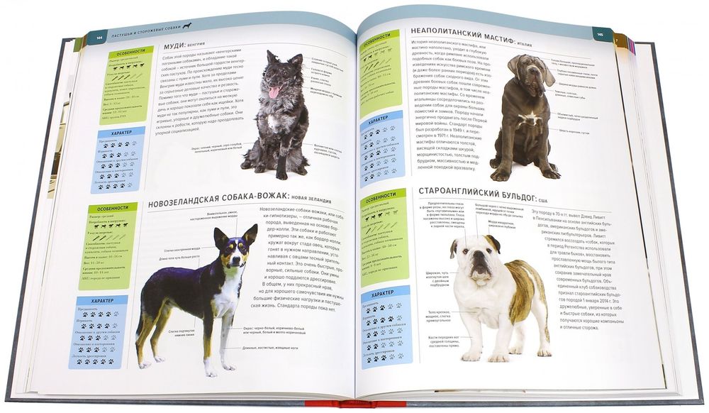 Большая Книга/Энциклопедия Собаки